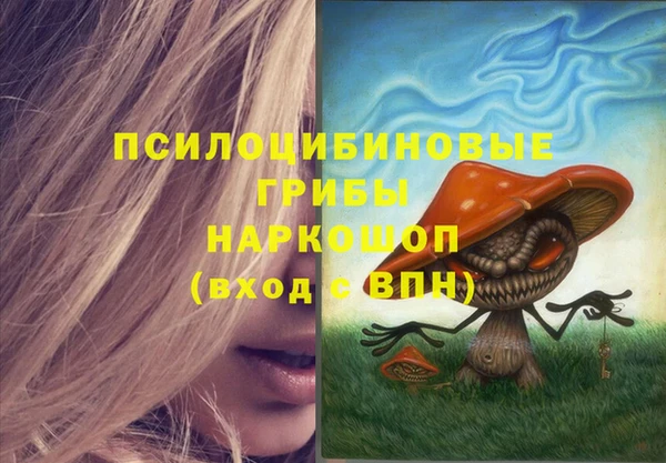 сатива Алзамай
