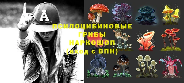 сатива Алзамай
